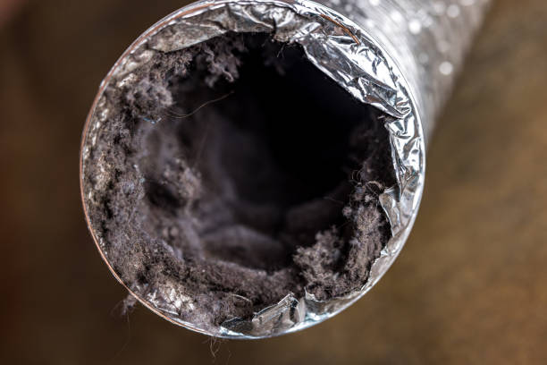 Best Professional Duct Cleaning Services  in Dora, AL