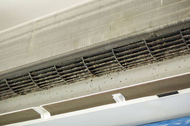 Best Air Duct Cleaning Near Me  in Dora, AL